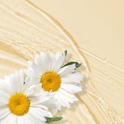 Shine Collection Shampoo