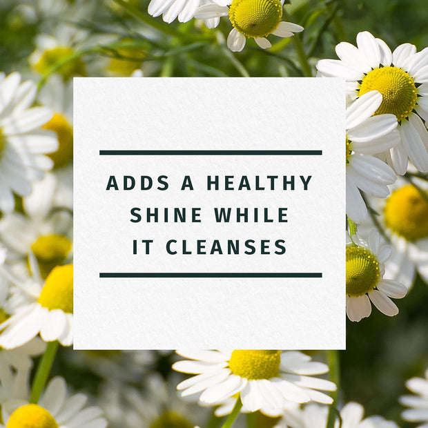 Shine Collection Shampoo